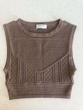 Aritzia Crop Top